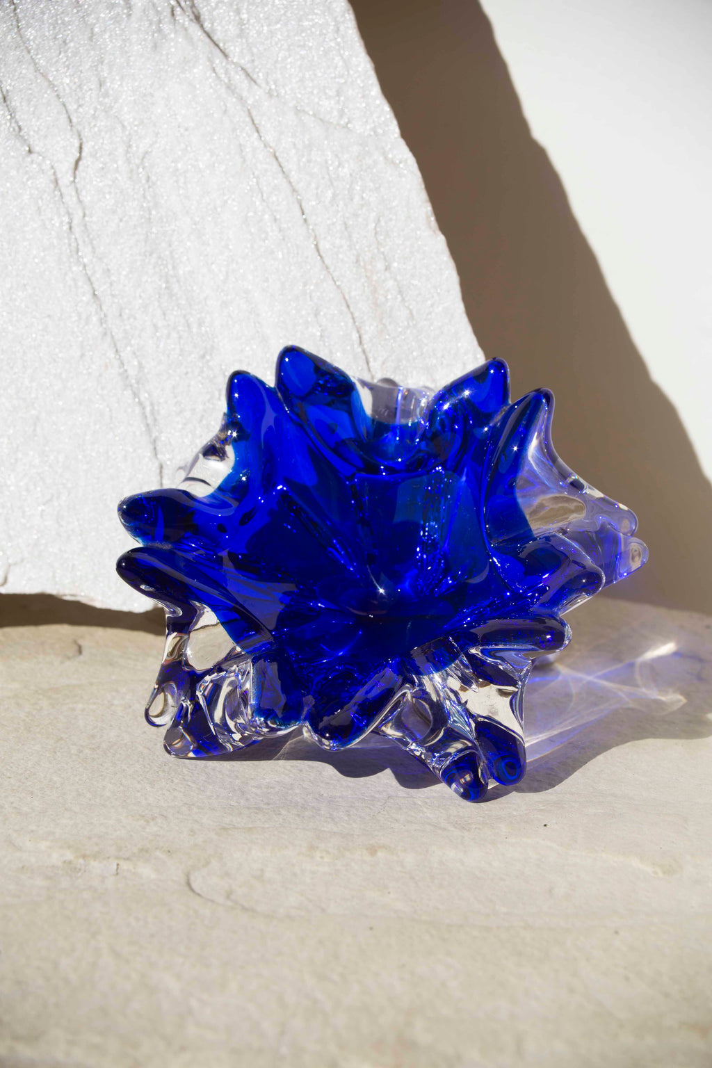 Anemone Ashtray